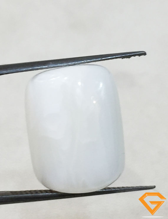 20.00 ratti/17.98 ct Natural Certified  White Coral/सफ़ेद मूंगा